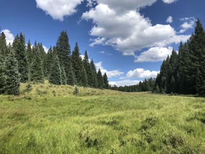 Day Hike: Meandering through meadows in San Pedro Parks